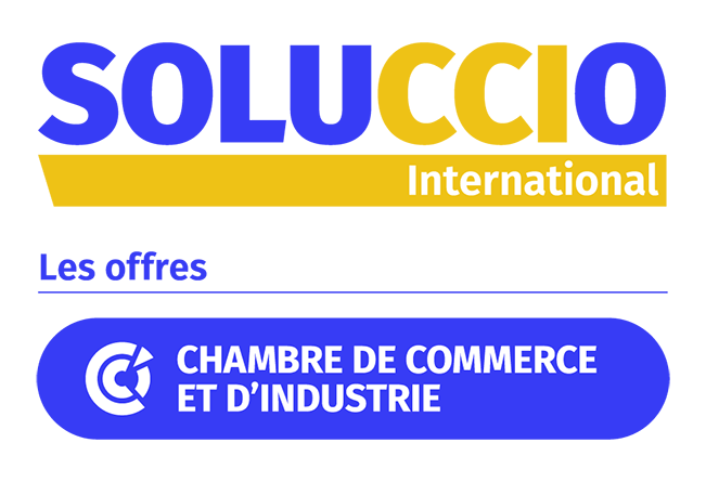 Logo soluccio International