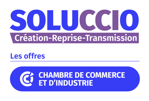 Logo soluccio création reprise transmission