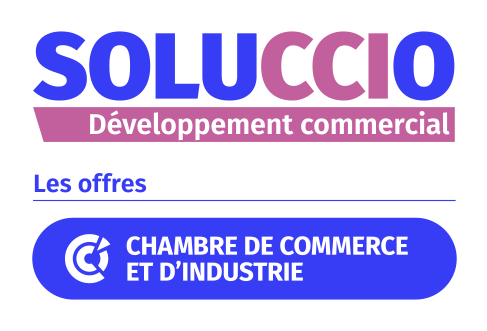 Logo soluccio développement commercial