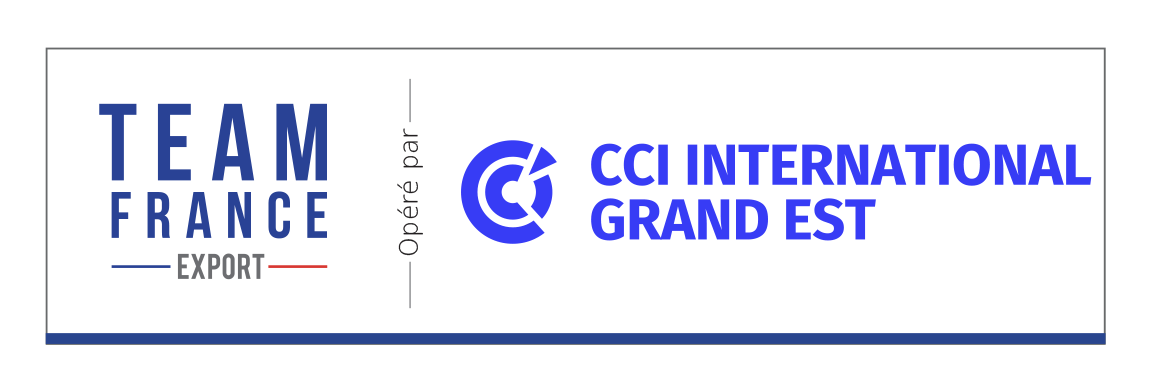 Logo commun TFE CCIIGE