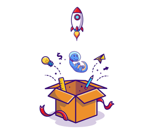 Newsletter numérique