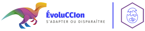 Evoluccion creation
