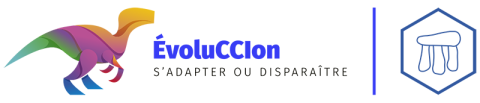 Bandeau evoluccion territoire