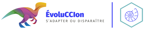 bandeau evoluccion numerique